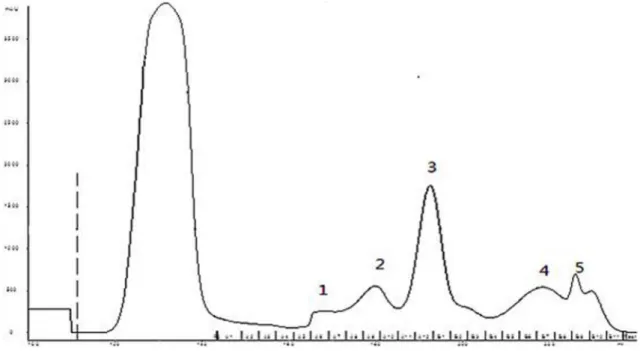 Figure 2. Separation profile of the crude extract from fermentation products of Brevibacillus sp