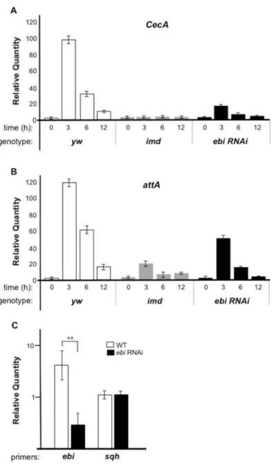 Fig 1. ebi is required for Rel target gene expression during bacterial infection. qPCR analysis of mRNA from larvae of yw (n = 30, each time point), Cg-Gal4 &gt; ebi RNAi (n = 30, each time point), or imd mutant larvae (n = 30, each time point)