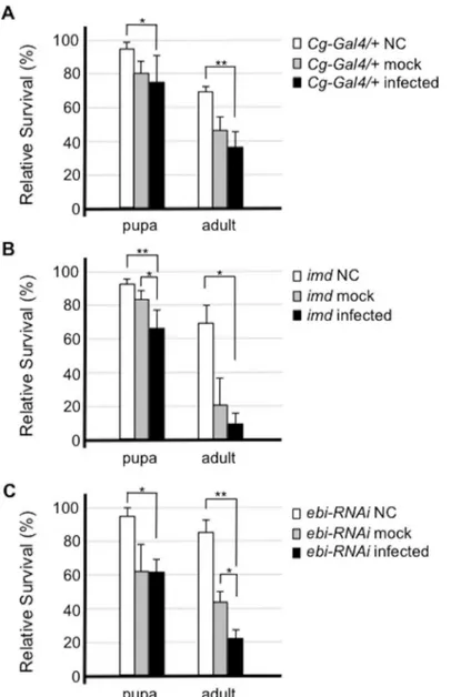Fig 2. Ebi is involved in the cellular defense response against bacterial infection. Susceptibility to Enterobacter cloacae in flies of each genotype was assessed