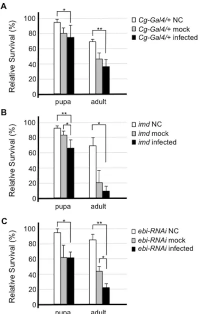 Fig 2. Ebi is involved in the cellular defense response against bacterial infection. Susceptibility to Enterobacter cloacae in flies of each genotype was assessed