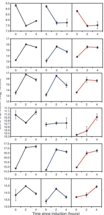 Fig 7. Expression of starvation and stress response genes, 0 (before), 2 and 4 hours after the start of methanol addition to wild-type GS115 (black), TRY1-1 (blue) and TRY1-3 (red), strains containing 1 and 3 gene copies of the human typsinogen gene, respe