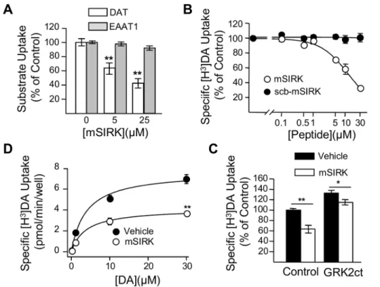 Figure 6. Activation of Gbc subunits reduces DAT activity in brain synaptosomes (A) mSIRK reduces [ 3 H]-DA uptake in rat striatal synaptosomes