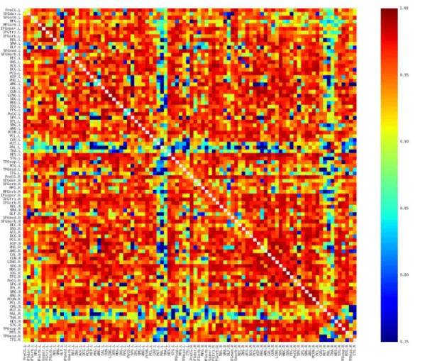 Fig 6. The Intraclass Correlation Coefficient (ICC) map of the connectivity matrices. More than 97% of the edges showed excellent reliability (i.e., ICC &gt; 0.75).