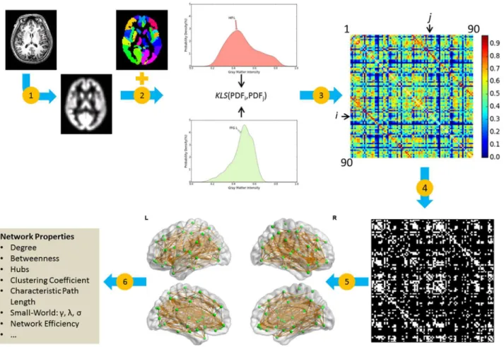 Fig 1. General workflow for the construction of an individual morphological network using gray matter measurements from MRI