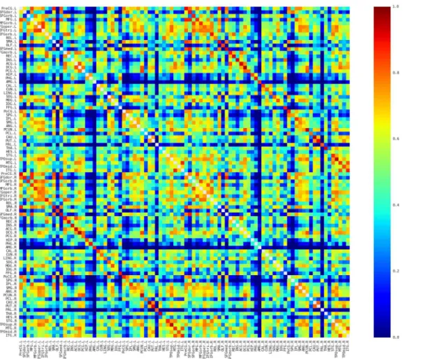 Fig 2. The averaged map of the connectivity matrices. Red and blue color indicates high and low similarity between regions, respectively