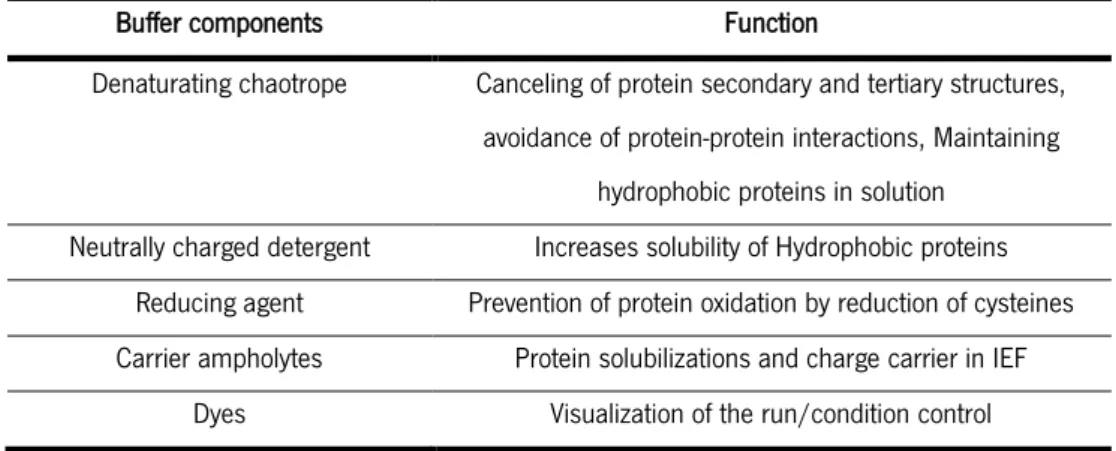 Table 4-Typical components of buffers used for IEF. Depending on the type of sample the identity of these components  may vary