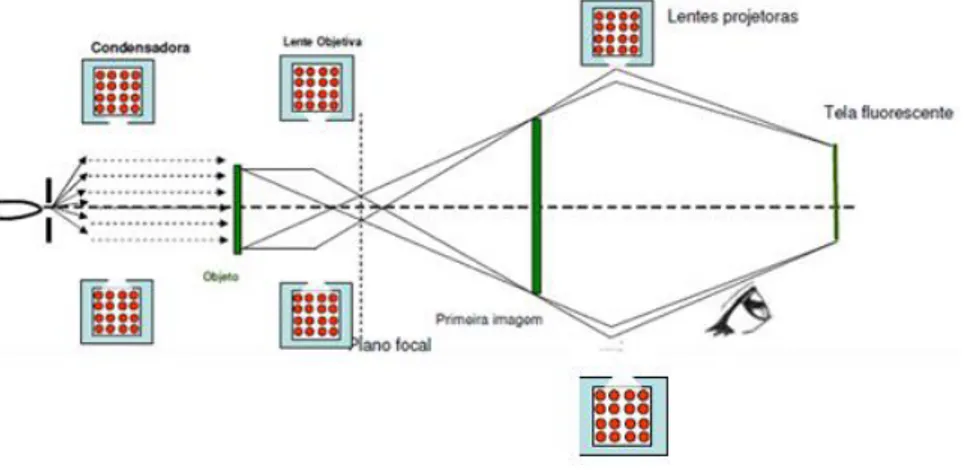 Figura 19 - Esquema do processo de formação de imagem num MET. (Miquita, 2012) 