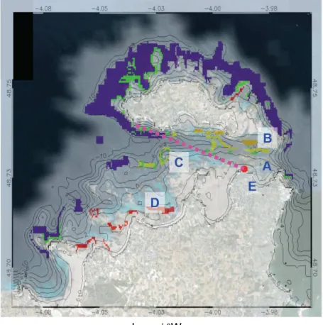 Fig. 1. Map of macroalgae for the Rosco ff area. Known emitters of iodine species are Lami- Lami-naria digitata (green), Laminaria hyperborea (purple), Laminaria ochroleuca (yellow), Laminaria saccharina (orange) and Ascophyllum/Fucus (red)