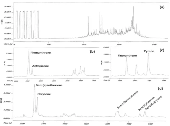 Fig. 1. GC/C/IRMS chromatograms of cork oak prior to HPLC fractionation (a) and after frac- frac-tionation (b, c, d).