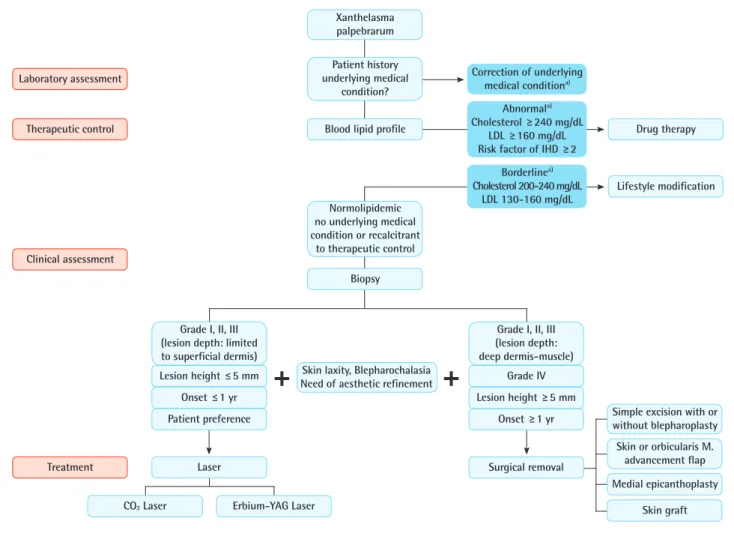 Fig. 5. Proposed algorithm for the treatment of xanthelasma palpebrarum