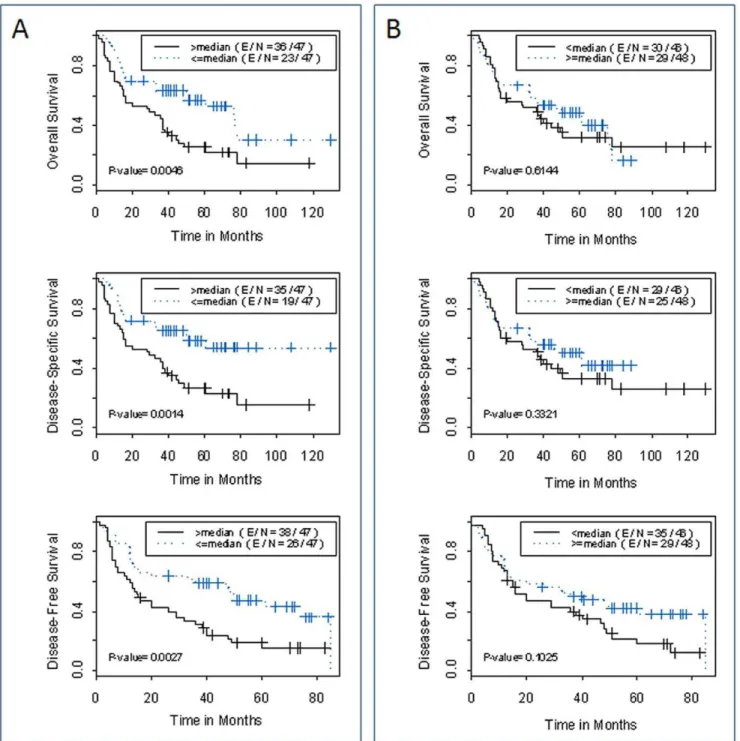 Figure 5. Probability of survival by EZH2 expression level. Kaplan- Meier estimation of overall survival, disease-specific survival and disease- disease-free survival by (A) EZH2 expression in tumor tissues relative to adjacent normal lung tissues (EZH2-fo