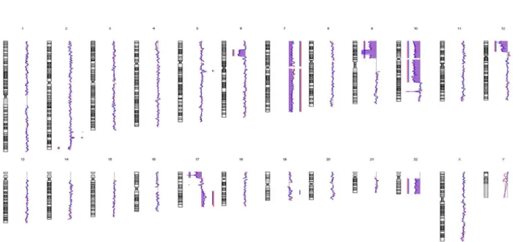 Figure 6. Array-CGH profiles of MUG-Chor1 phenotypes. Comparative genome hybridization of 100 large cells (red line) and small cells (blue line) each yielded identical chromosomal profiles