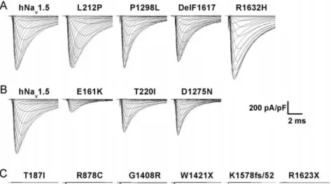 Figure 1. Representative HEK293 whole-cell current recordings for hNa v 1.5 and SSS-associated mutants