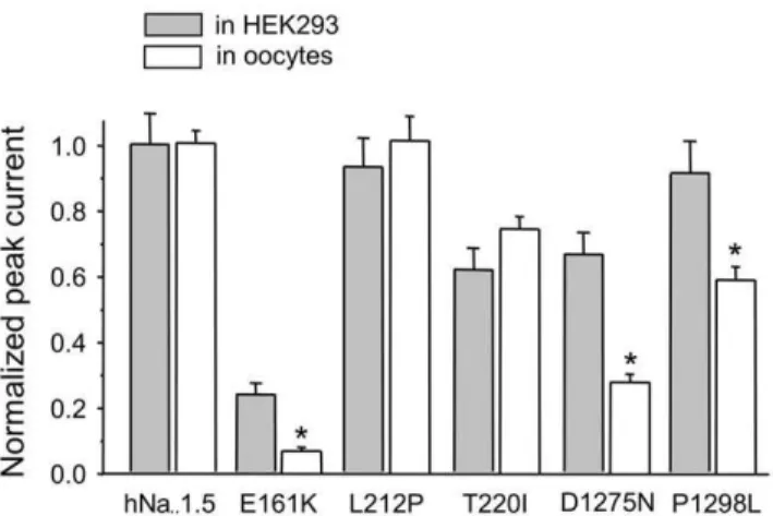 Table 2. Electrophysiological properties of wild-type and mutant hNa v 1.5 channels in Xenopus oocytes.