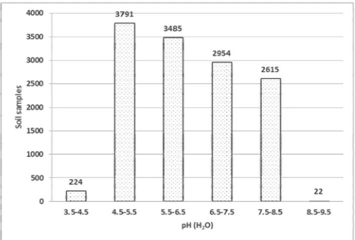 Figure 1. pH (H 2 O) in analyzed soil samples. 