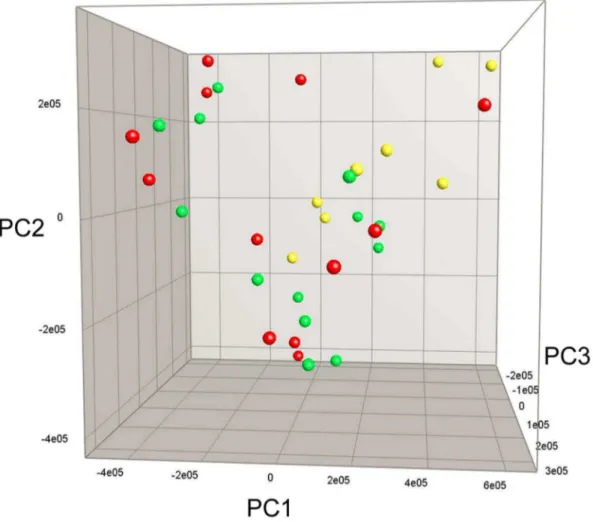 Figure 3. Fecal microbiota profile after 13 weeks of dietary intervention. Principal Component Analysis Plot based on Denaturing Gradient Gel Electrophoresis profiles of 16S rRNA gene PCR-derived amplicons of fecal samples