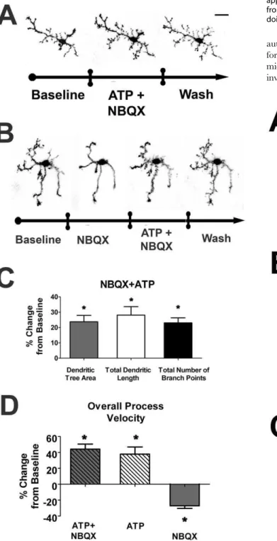 Figure 7. ATP Application Rescues Microglial Morphology and Motility from the Negative Effects of Glutamatergic Blockade.