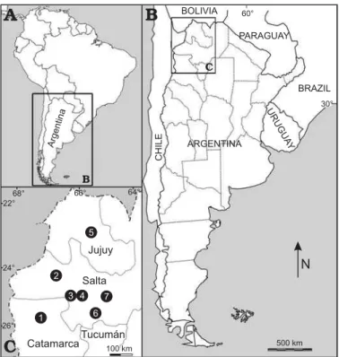 Fig. 1. A, B. Location of the studied area in South America. C. Map of  Northwestern Argentina showing the main middle and middle–late Eocene  fossil-bearing localities: 1, Antofagasta de la Sierra; 2, Quebrada El Paso; 