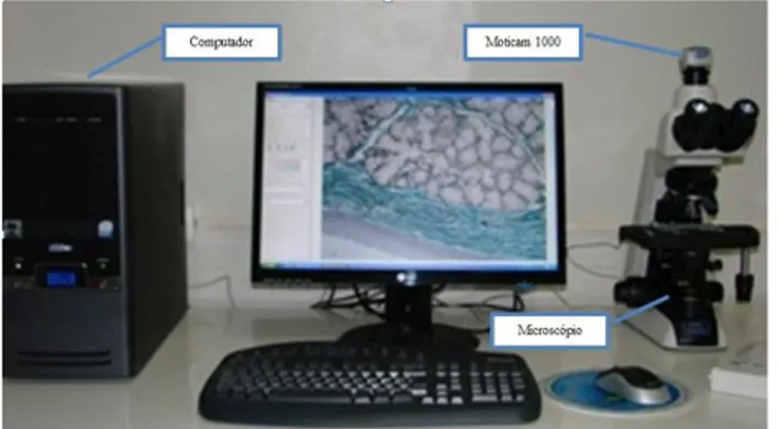 Figura 1: Equipamentos  utilizados na captura das fotomicrografias (Microscópio Ni- Ni-kon Eclipse E200; Câmera Moticam 1000; Computador PC com monitor de 22”)