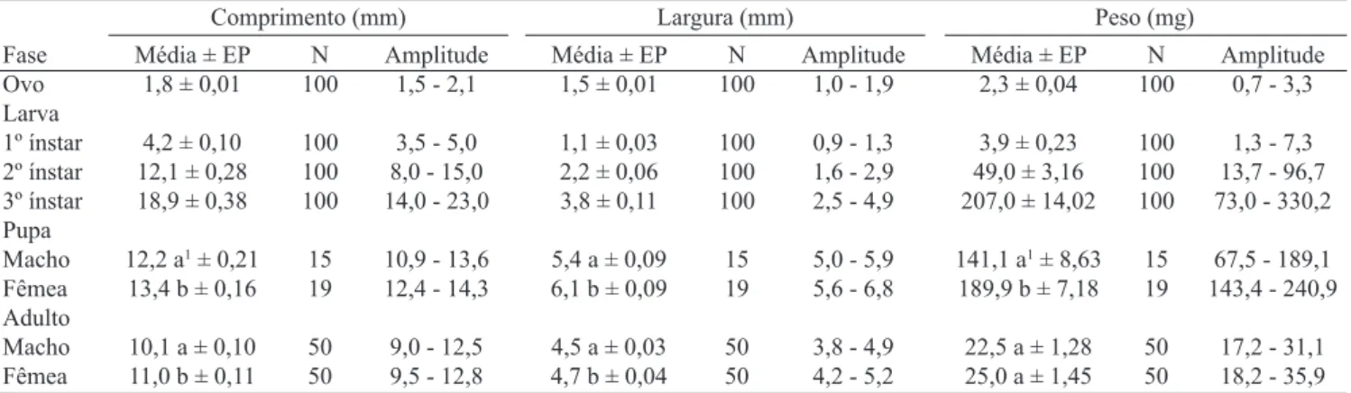 Tabela II. Médias (± EP) do comprimento, largura e peso das fases de desenvolvimento de Leucothyreus dorsalis, em laboratório (26 ± 1°C, fotofase de 12  horas)