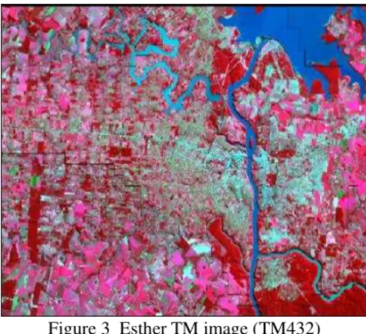 Figure 4  The nighttime image of Esther (left) and comparison  chart of the nighttime image and TM image 