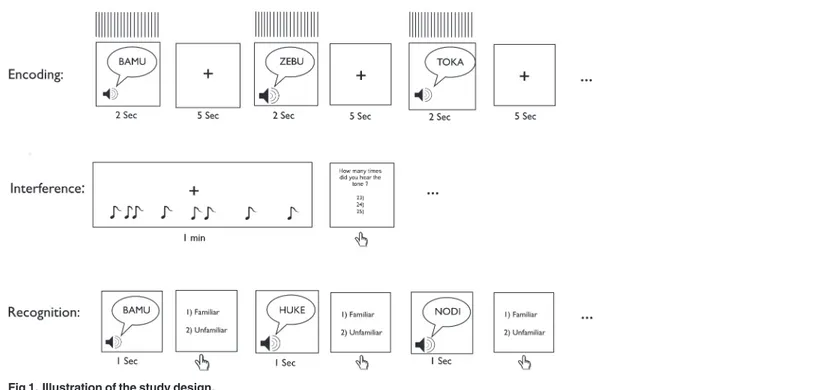 Fig 1. Illustration of the study design.