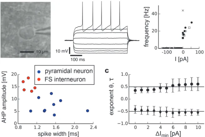 Fig 5. Scaling analysis of indicators related to critical slowing down in fast-spiking (FS) neurons