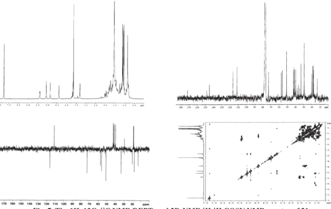 Fig. 7. The 1H, 13C,  13 C NMR DEPT, and 2D-NMR  1 H- 1 H COSY NMR spectra of 21.