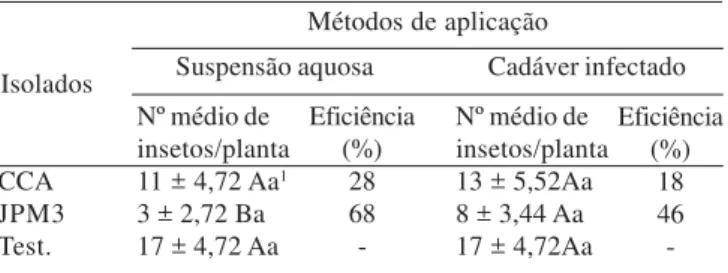 Tabela I. Número médio de insetos vivos e porcentagem de eficiência de controle da cochonilha-da-raiz-do-cafeeiro em condições de  casa-de-vegetação utilizando dois isolados (Heterorhabditis  sp