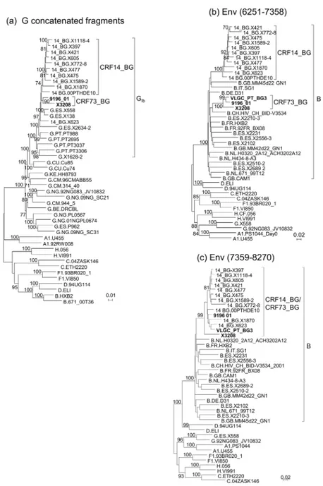 Fig 5. Analysis of the relationship of CRF73_BG with CRF14_BG. (a) ML tree of concatenated subtype G fragments of X3208 and 9196_01, analyzed with G Ib and CRF14_BG viruses