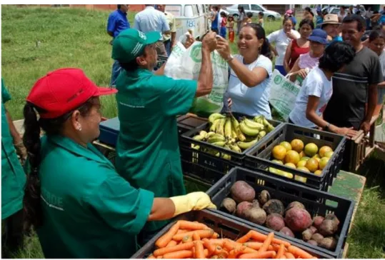 Figura 3 – Distribuição de alimentos pela prefeitura de Ponta Grossa para os moradores através do  programa Feira Verde 