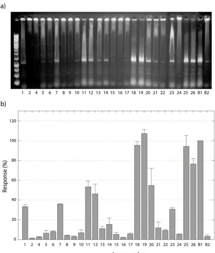 Figure 8. Screening of derivatives and their effect on NF-κB/DNA complex stability. a) Agarose gel showing the effect of the tested compounds on NF-κB:DNA complex formation