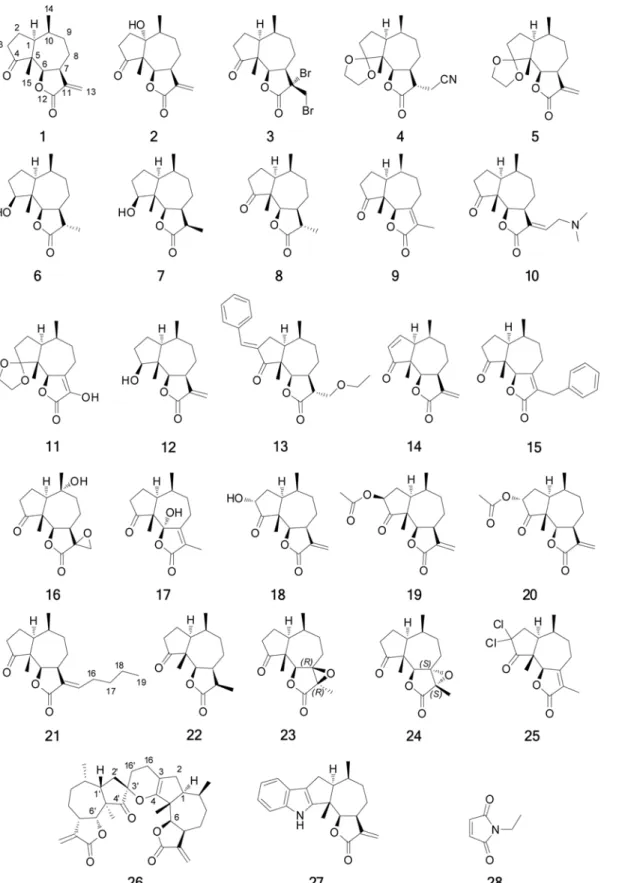 Figure 2. Compounds tested as inhibitors of the NF-κB:DNA-recognition target complex formation.