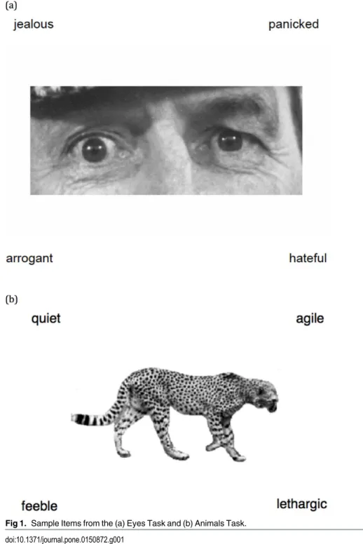 Fig 1. Sample Items from the (a) Eyes Task and (b) Animals Task.
