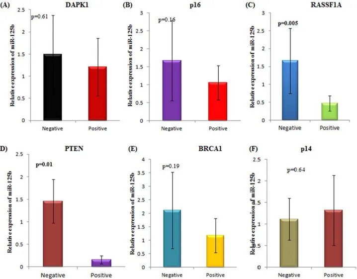 Fig 5. Association of miR-125b expression with the promoter hypermethylation of a panel of tumour suppressor genes