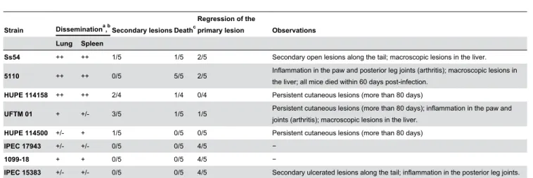 Table 3. Morphometric characteristics of S. schenckii and S. brasiliensis conidia.