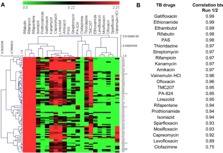Figure 5. Hierarchical clustering and correlations of anti-tubercular drugs. Transcriptional responses data obtained from microfluidic experiment are used for the analysis