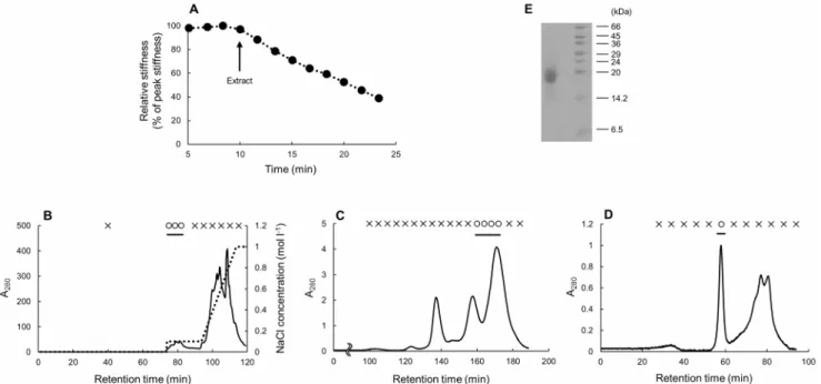 Figure 1. Screening and purifying of the softener. (A) The result of the mechanical tests on the Triton-treated dermis of S