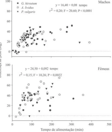 Fig. 2. Relação do ganho de peso (miligrama) de machos e fêmeas de Brontocoris tabidus com o tempo de alimentação (minutos) em três plantas hospedeiras de suas presas.