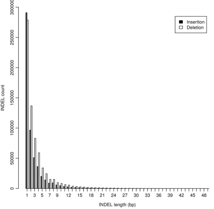 Figure 1. Distribution of INDEL length. INDELs with multiple genotypes were not included.