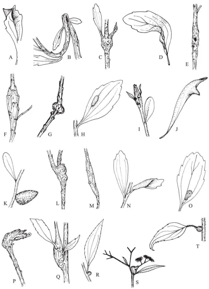 Fig. 2. Morfotipos de galhas em campos rupestres na porção sul da Cadeia do Espinhaço Para identificação das plantas hospedeiras veja a Tabela I