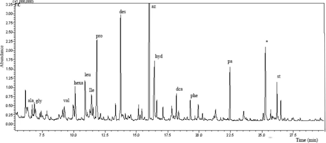 Table 3. Compounds identified in sample B31-1 by GC/MS analysis after hydrolysis and derivatization with ECF; 