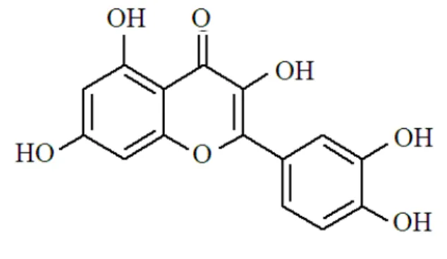 Fig. 2. Scheme  of  the  device  which  was  used  for  flavonoids  extraction  from  plant  samples  in  subcritical  water:   1-water tank; 2-pump (Eldex Labs, inc