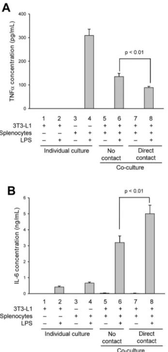 Figure 1. Direct contact between splenocytes and adipocytes alters secreted levels of inflammatory cytokines