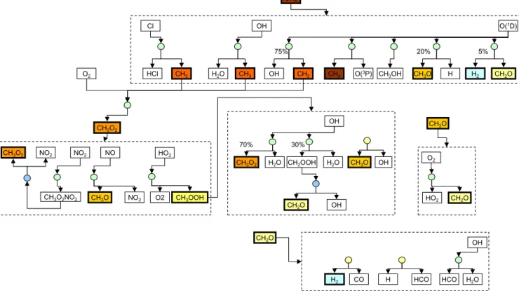 Fig. 1. Full methane oxidation scheme.