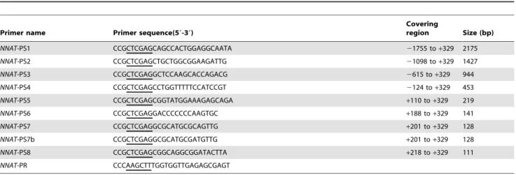 Table 3. Primers used in NNAT promoter serious deletion analysis.