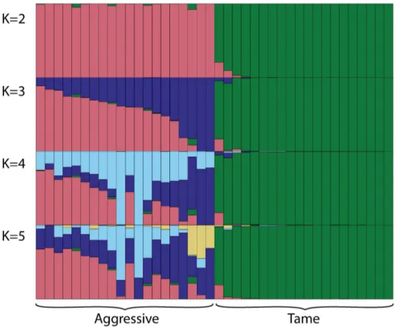 Fig 2. Estimation of population structure using STRUCTURE. Cluster analysis of fox genotypes was performed at four values of K (2, 3, 4, and 5) without population information