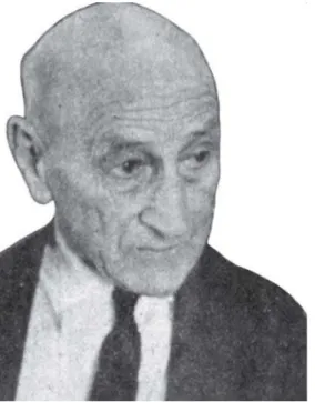 Fig. 5. Frederico Lane.