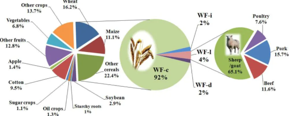 Fig. 6. Water footprint (WF) in the HRB over 2004–2006.