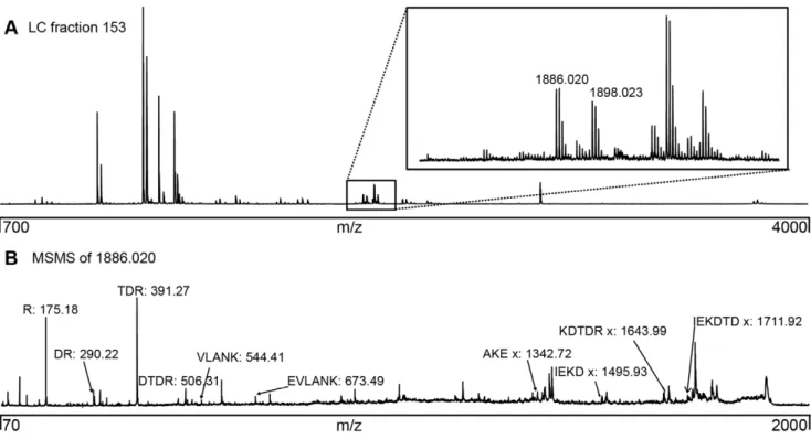 Figure 6. Mass spectra for crosslinks identified in protein multisubunit complexes. The Clp-protease multisubunit protein complex was crosslinked and the tryptic digest was separated into 192 fractions on the MALDI-target plate